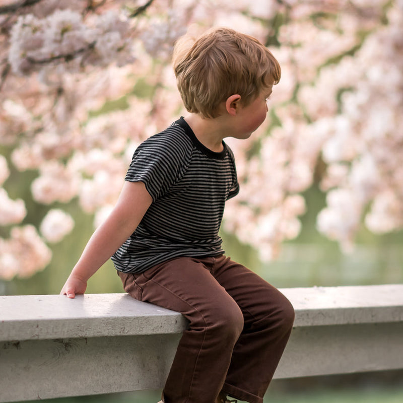 Merino Wool Short Sleeve Top